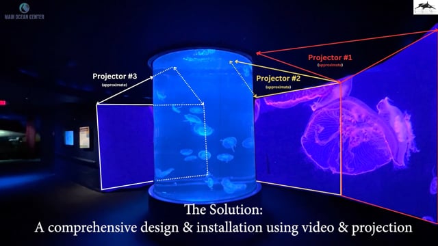 Projection-mapped jellyfish drifting through an immersive blue environment.